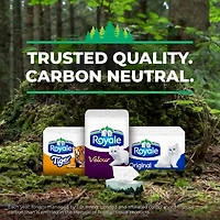 Royale Velour Facial Tissue, 12 Flat Boxes, 88 Tissues per box