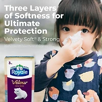 Royale Velour Facial Tissue, 12 Flat Boxes, 88 Tissues per box