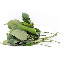 Pocket Leaves, 1 Tray, 0.05 - 0.20 KG