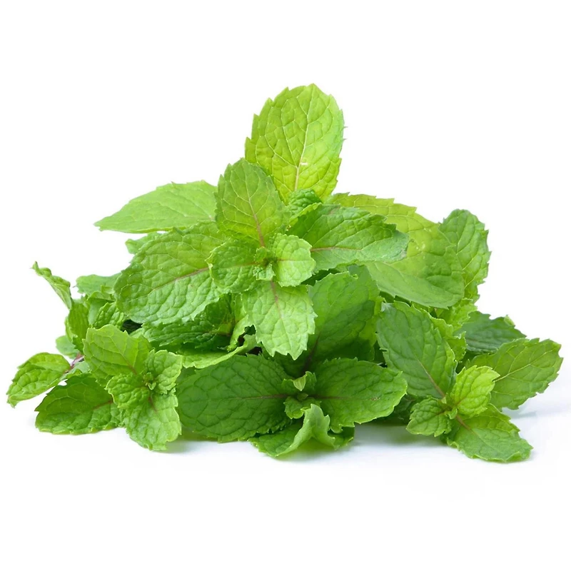 Mint, Fresh, Sold in bunches
