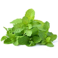 Mint, Fresh, Sold in bunches
