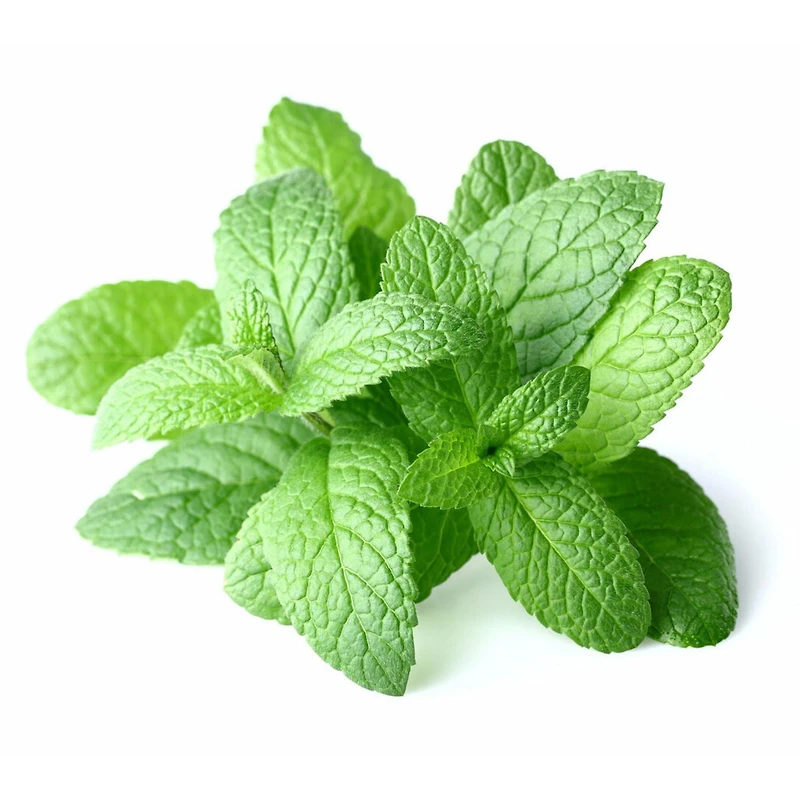 Mint, Fresh, Sold in bunches