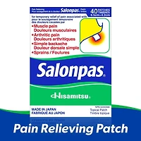Salonpas Pain Relieving Patch