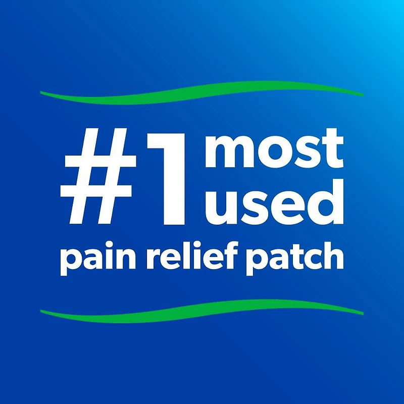 Salonpas Pain Relieving Patch