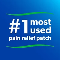 Salonpas Pain Relieving Patch