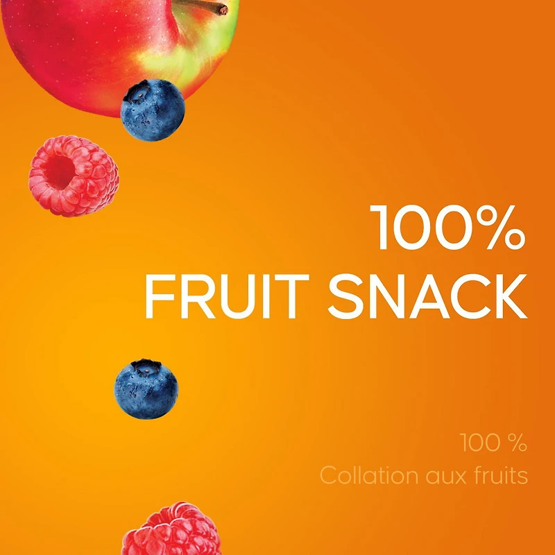 SunRype Fruit to Go Apple Wildberry 100% Fruit Snack