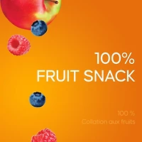 SunRype Fruit to Go Apple Wildberry 100% Fruit Snack