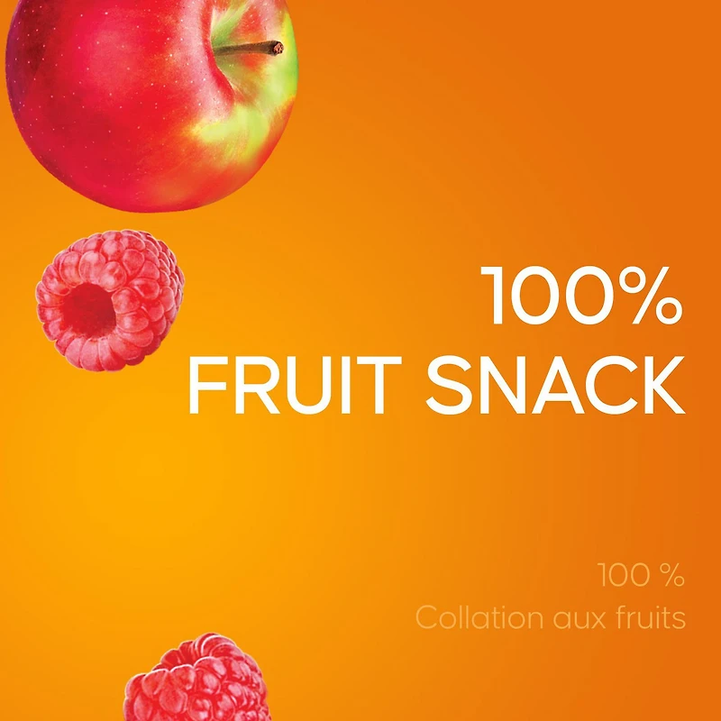 SunRype Fruit to Go Apple Raspberry 100% Fruit Snack
