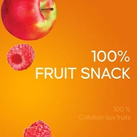 SunRype Fruit to Go Apple Raspberry 100% Fruit Snack