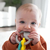 Dr. Brown’s® Learning Loop Silicone Ring Teether, Fox, 3 months+