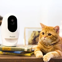 Pawbo+ Wi-Fi Interactive Pet Camera and Treat Dispenser, Wifi Dog and Cat Camera with Treat Dispenser