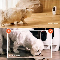 Pawbo+ Wi-Fi Interactive Pet Camera and Treat Dispenser, Wifi Dog and Cat Camera with Treat Dispenser
