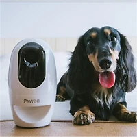 Pawbo+ Wi-Fi Interactive Pet Camera and Treat Dispenser, Wifi Dog and Cat Camera with Treat Dispenser