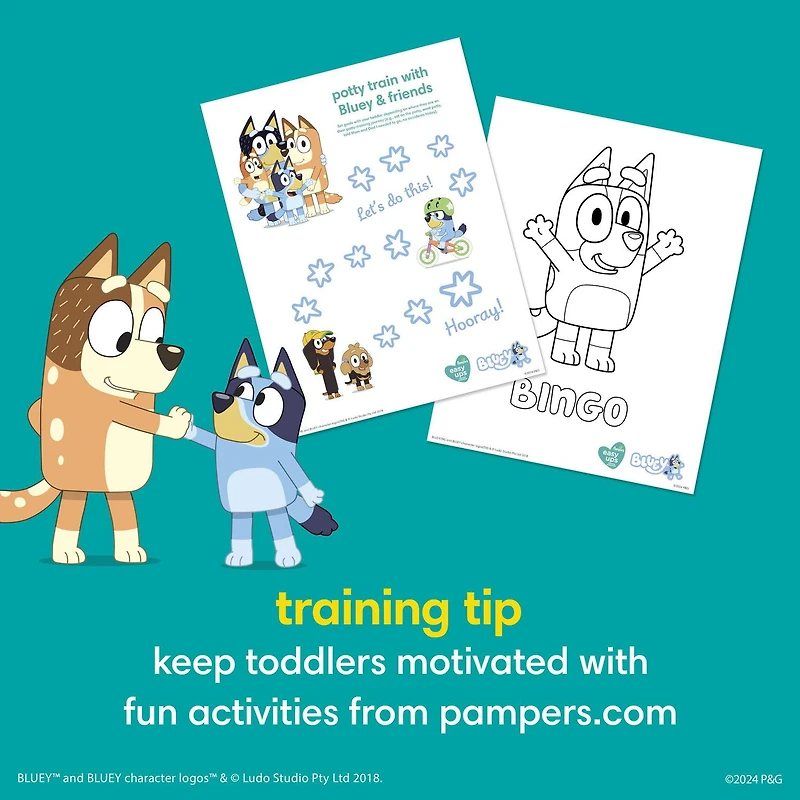 Sous-vêtements d’entraînement Pampers Easy Ups SUPER POUR GARÇONS tailles 2-6, 74-46 sous-vêtements