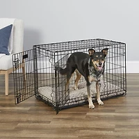 Midwest iCrate Caisse Pliante pour Chien à Double Porte avec Panneau de Séparation Caisse pour Chien 2 portes