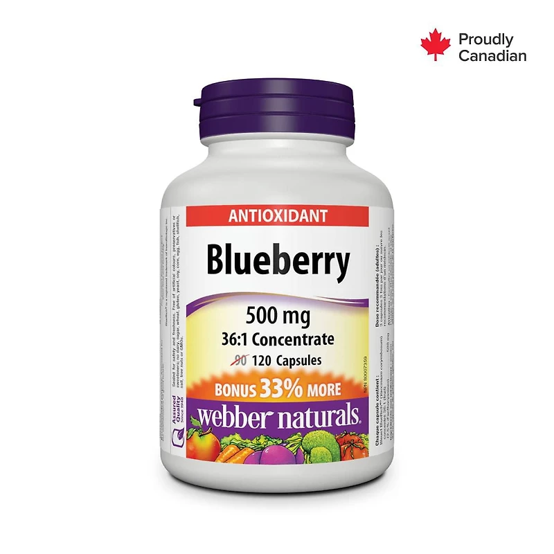 Webber Naturals® Blueberry 36:1 Concentrate, 500 mg, 90 + 30 Capsules, BONUS!
