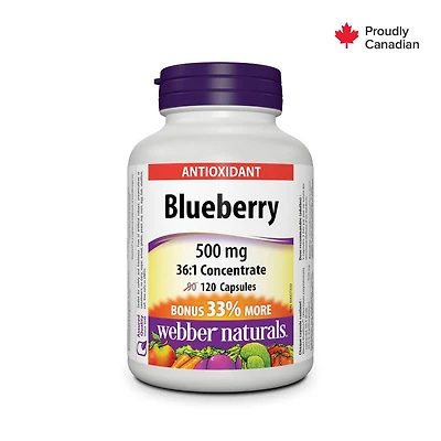 Webber Naturals® Blueberry 36:1 Concentrate, 500 mg, 90 + 30 Capsules, BONUS!