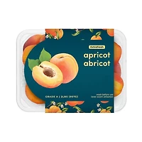 Apricots