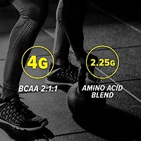 Cellucor BCAA Sport Hydration & Recovery Cherry Limeade 30 Servings, Cherry Limeade 30 Servings