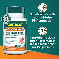 Genacol Anti-Inflammatory – Turmeric Curcumin, BioPerine & AminoLock Collagen, Joint Supplement, 90 Capsules (30-Day Supply)