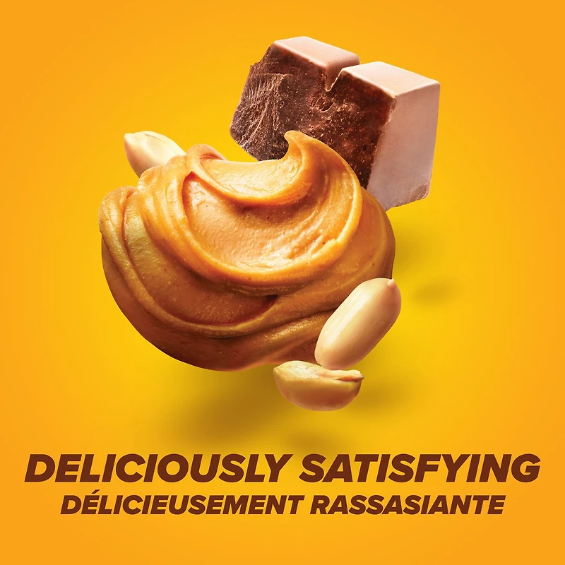 Barres de chocolat et beurre d'arachide Pure Protein - 20 g de protéines, faible en sucre, collation sans gluten avec mélange de whey, fabriquées au Canada, 6 x 50 g Barre protéinée choco-PB