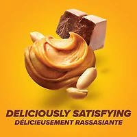 Barres de chocolat et beurre d'arachide Pure Protein - 20 g de protéines, faible en sucre, collation sans gluten avec mélange de whey, fabriquées au Canada, 6 x 50 g Barre protéinée choco-PB