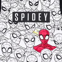 T-shirt à manches courtes Marvel Find Spidey pour garçon