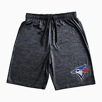 Men's MLB Toronto Blue Jays Striped Shorts
