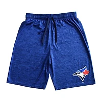 Men's MLB Toronto Blue Jays Full Beak Shorts
