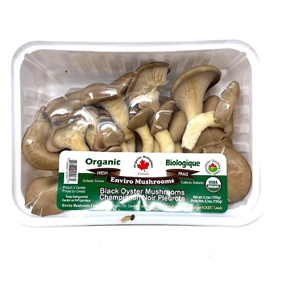 ORGANIC BLACK OYSTER MUSHROOMS 5OZ