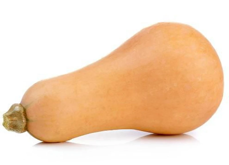 Courge Butternut biologique, Vendu individuellement, 0.76 - 1.40 KG