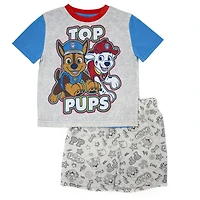 Paw Patrol 2 piece tee & short set for toddler boys