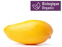 Mango, Organic
