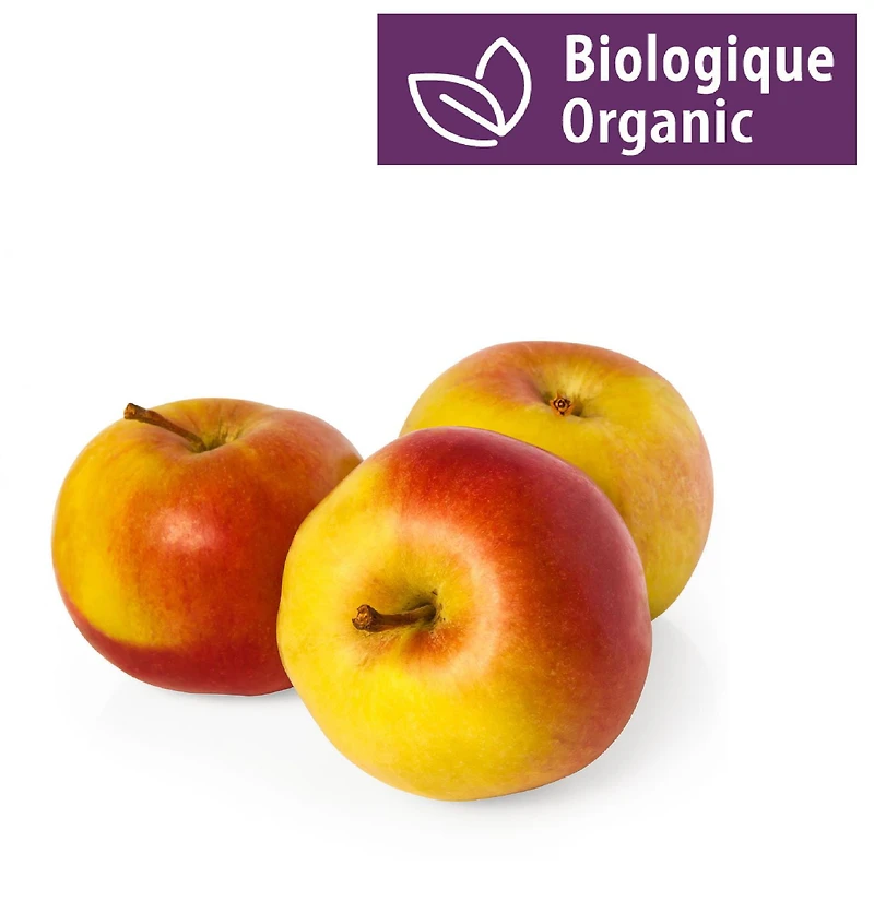 Pommes Ambrosia biologiques