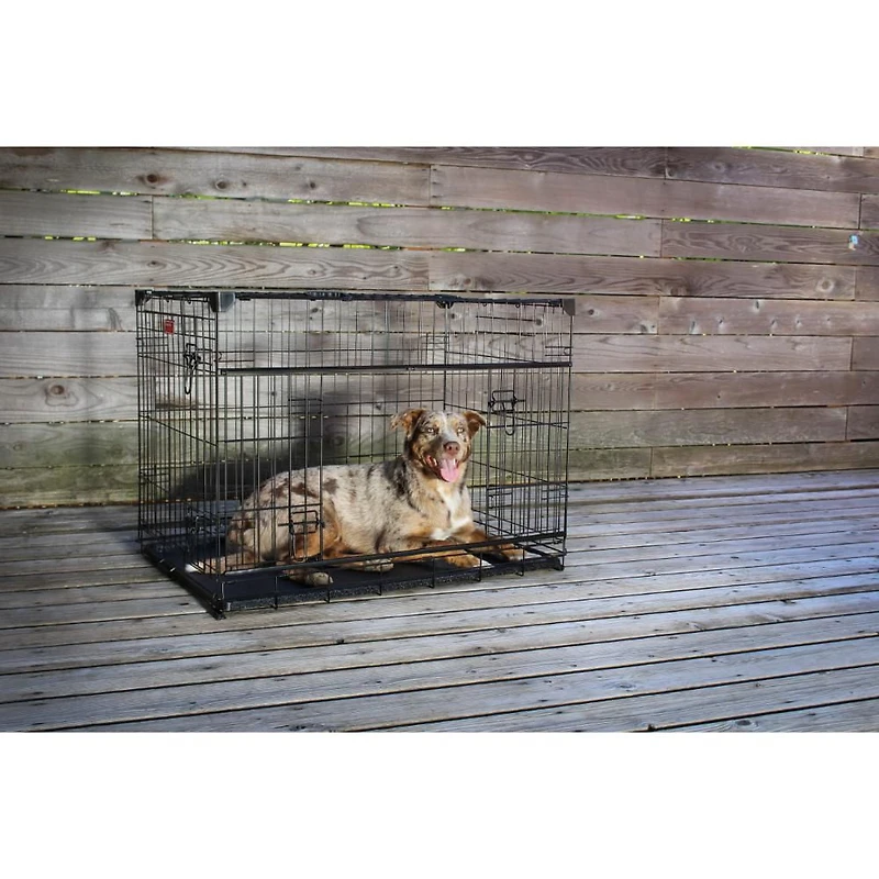 Caisse pour chien Lucky Dog Whisper Glide de 36 po à double porte coulissante