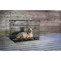 Caisse pour chien Lucky Dog Whisper Glide de 36 po à double porte coulissante
