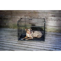 Caisse pour chien Lucky Dog Whisper Glide de 36 po à double porte coulissante