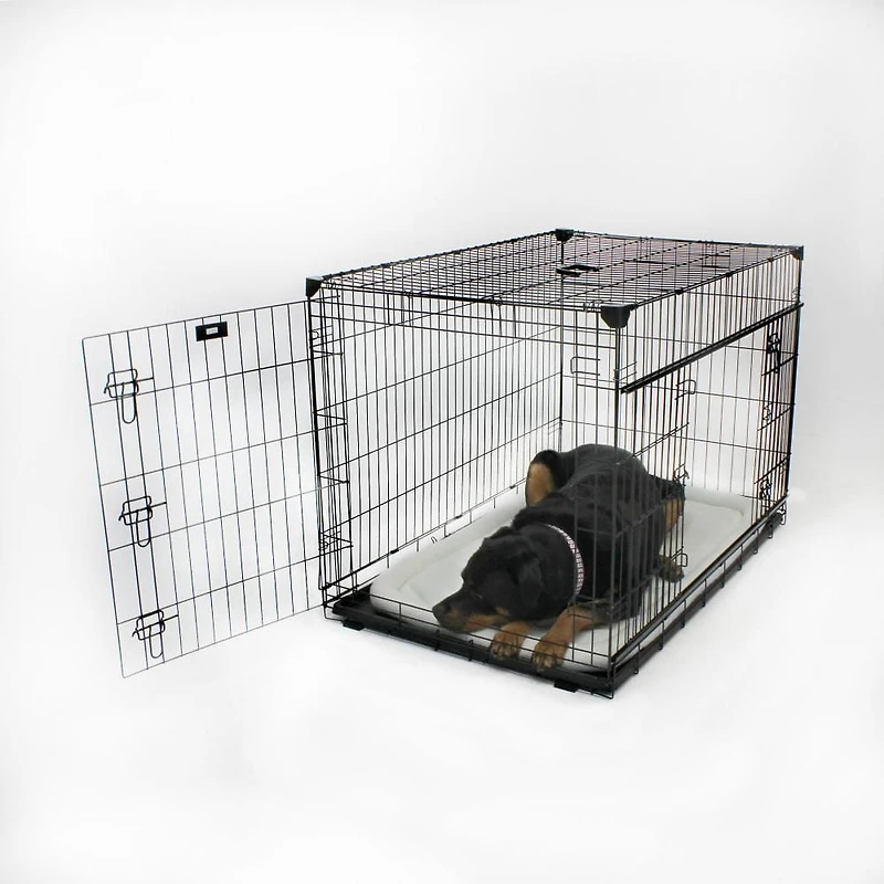 Caisse pour chien Lucky Dog Whisper Glide de 48 po à double porte coulissante