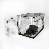 Caisse pour chien Lucky Dog Whisper Glide de 48 po à double porte coulissante
