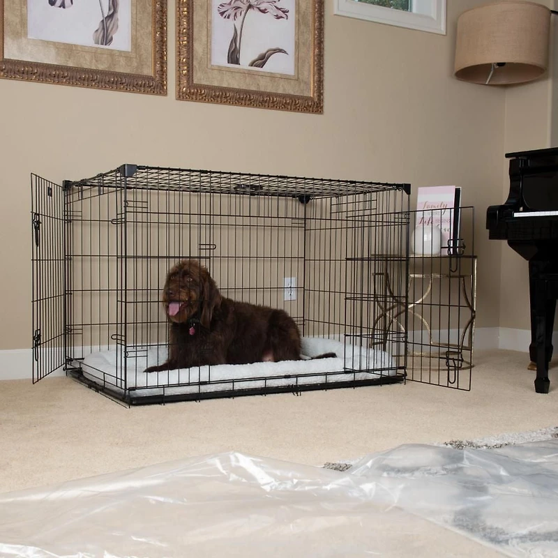 Caisse pour chien Lucky Dog Whisper Glide de 48 po à double porte coulissante