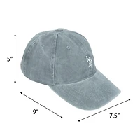 U.S. Polo Assn. Casquette Délavée Rétro Uspa