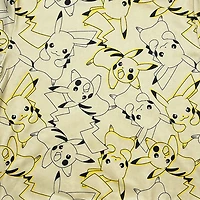 Pokemon Boy's long sleeve popover hoodie