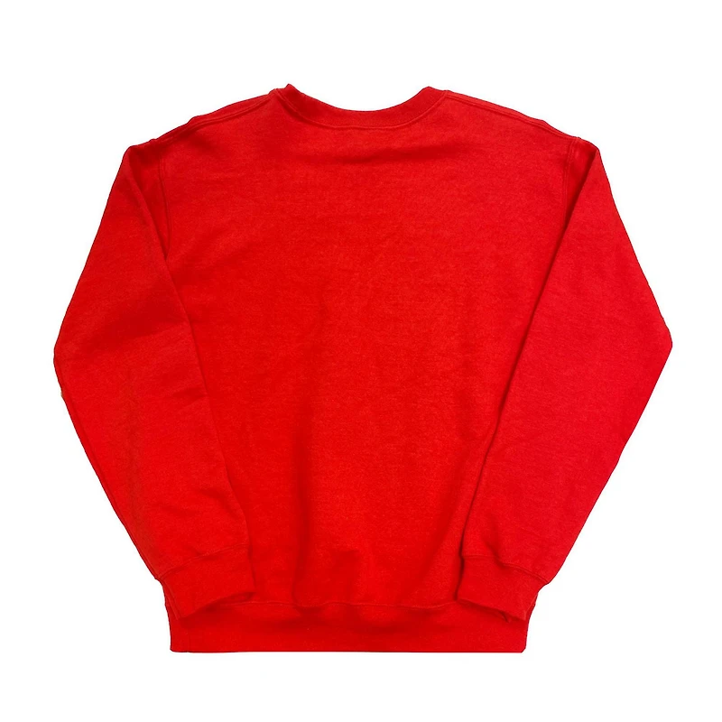 Pokemon Boys Gotta Catch Long Sleeve Sweatshirt