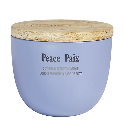 Aroma Light 11.11oz Winter Wonderland Soy Wax Blended Scented Candle