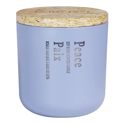 Aroma Light 12oz Winter Wonderland Soy Wax Blended Scented Candle