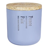 Aroma Light 12oz Winter Wonderland Soy Wax Blended Scented Candle