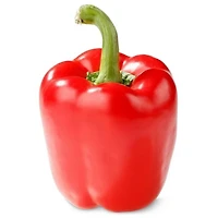 SUNSET Poivron rouge, Simple, 0.12 - 0.24 KG