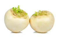 Navets blancs, 1 kg, 1.00 - 1.00 KG