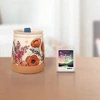 ScentSationals Cubes de Cire Parfumée - Lumières Islandaises