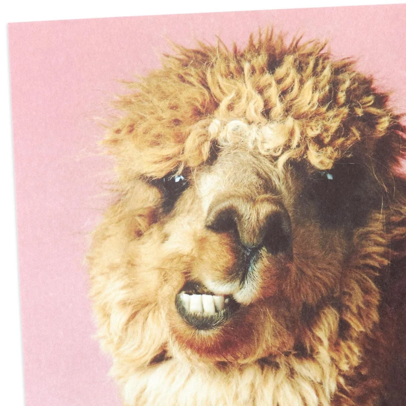 Carte de fête Hallmark Studio Ink